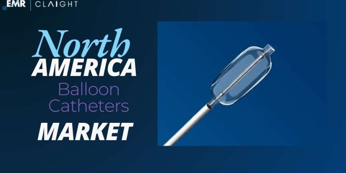 North America Balloon Catheters Market Size, Share, Trends, Drivers, Key Insights, & Future Forecast | 2024 - 2032