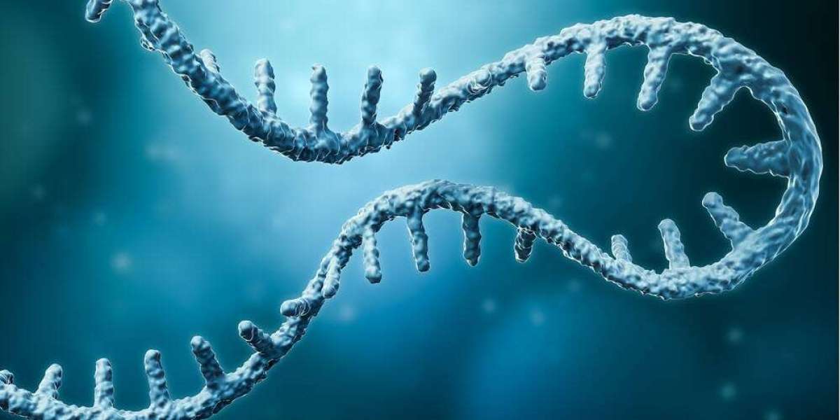 Antisense Oligonucleotides Market Analysis , Report, Key Players | Share and Growth by 2032