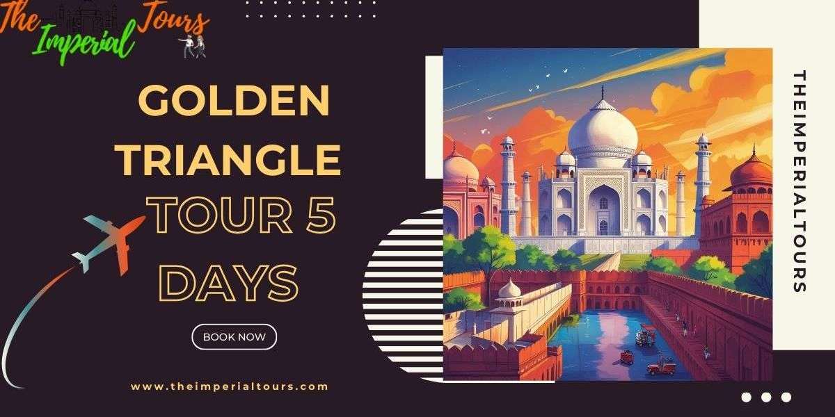 5 Days, 3 Cities, Endless Memories: Your Perfect Golden Triangle Adventure