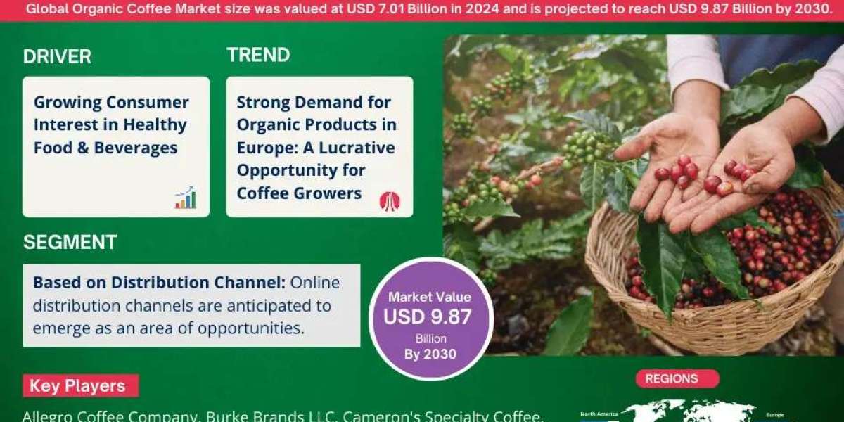 Organic Coffee Market Geographical Breakdown: Which Area is Leading the Market?