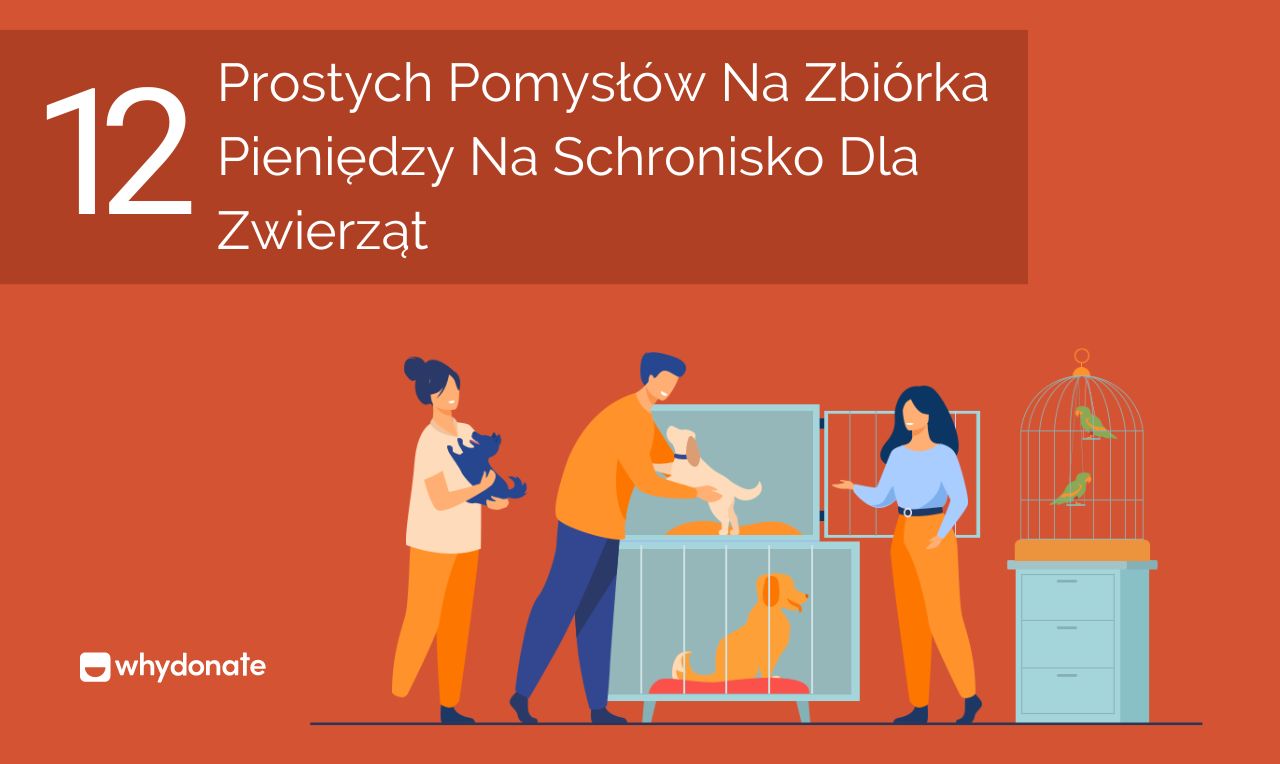 12 Prostych Pomysłów Na Zbiórka Pieniędzy Na Schronisko Dla Zwierząt | WhyDonate