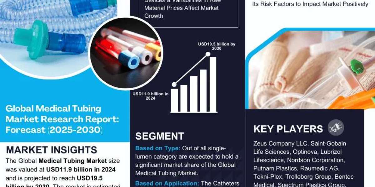 Medical Tubing Market Geographical Breakdown: Which Area is Leading the Market?