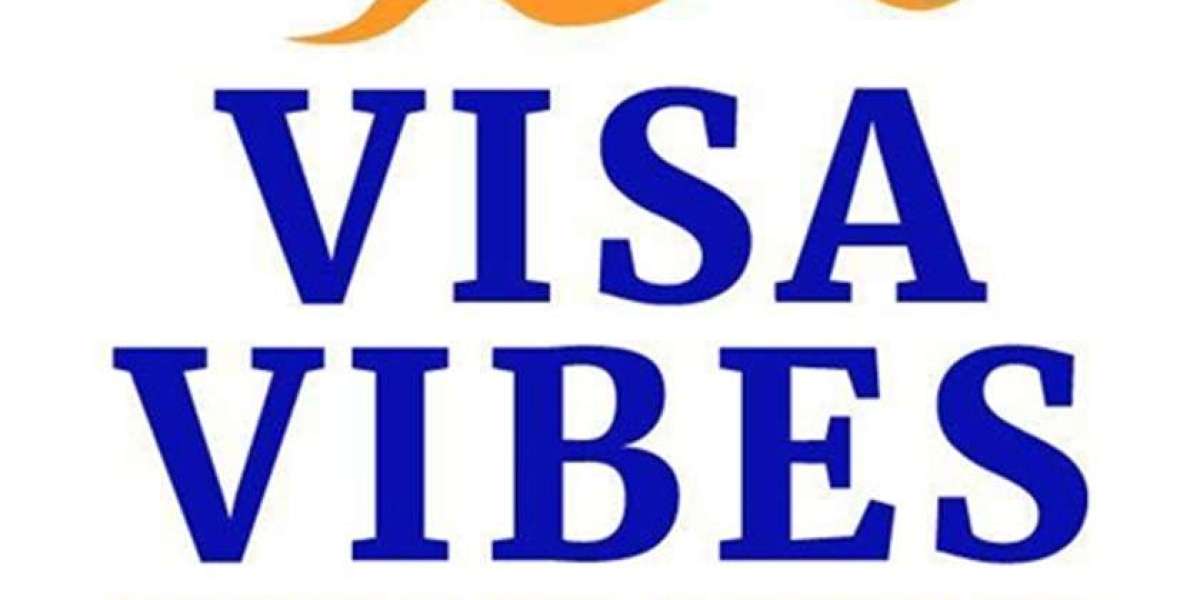 Best Consultancy in Sydney | VISA VIBES PTY LTD for Expert Advice