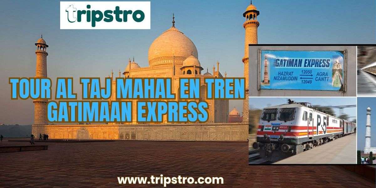 Descubra el Taj Mahal con estilo: una guía completa para el recorrido en tren Gatimaan Express