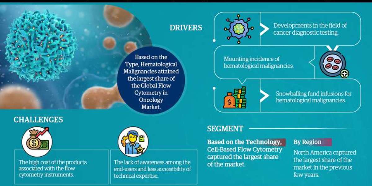 Flow Cytometry in Oncology Market Investment Opportunities: Where to Focus in the Coming Decade