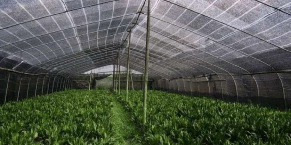 Agro-Textiles Market Size, Share, Industry Analysis and Forecast 2024-2032