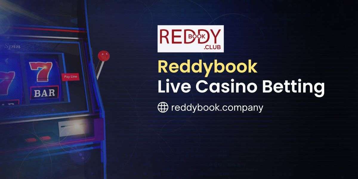 Player Insights with Reddybook: Winning Strategies