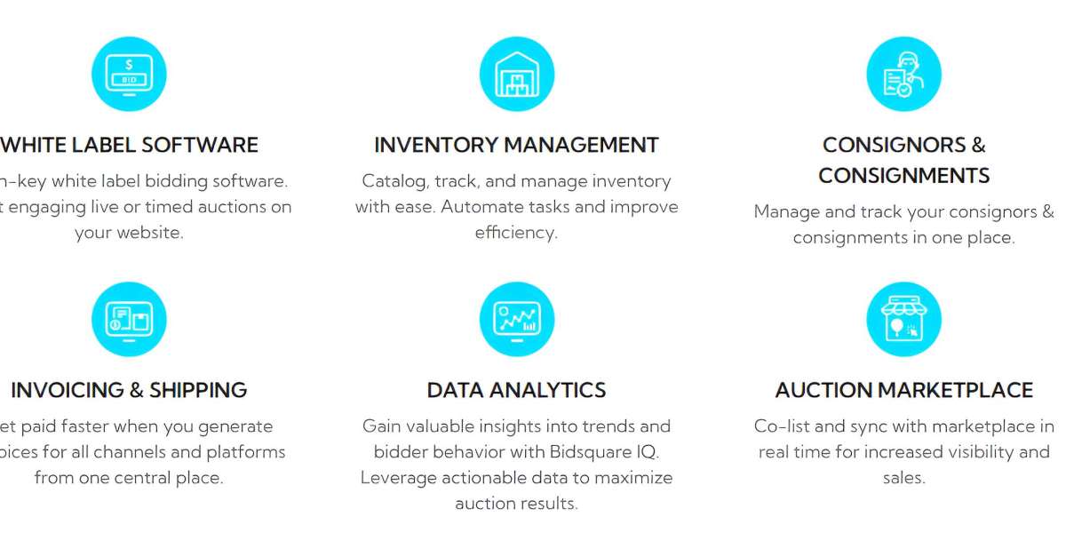 Auctioneer Software: Revolutionizing the Face of Auctions