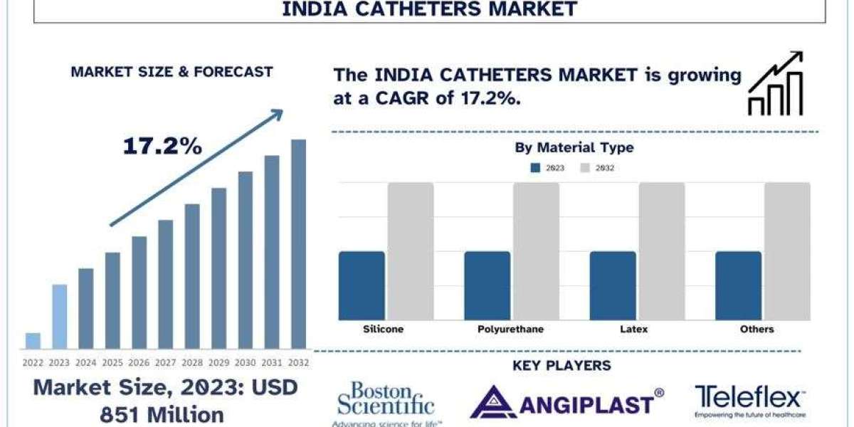 India Catheter Market Analysis by Size, Share, Growth, Trends, Opportunities and Forecast (2024-2032)