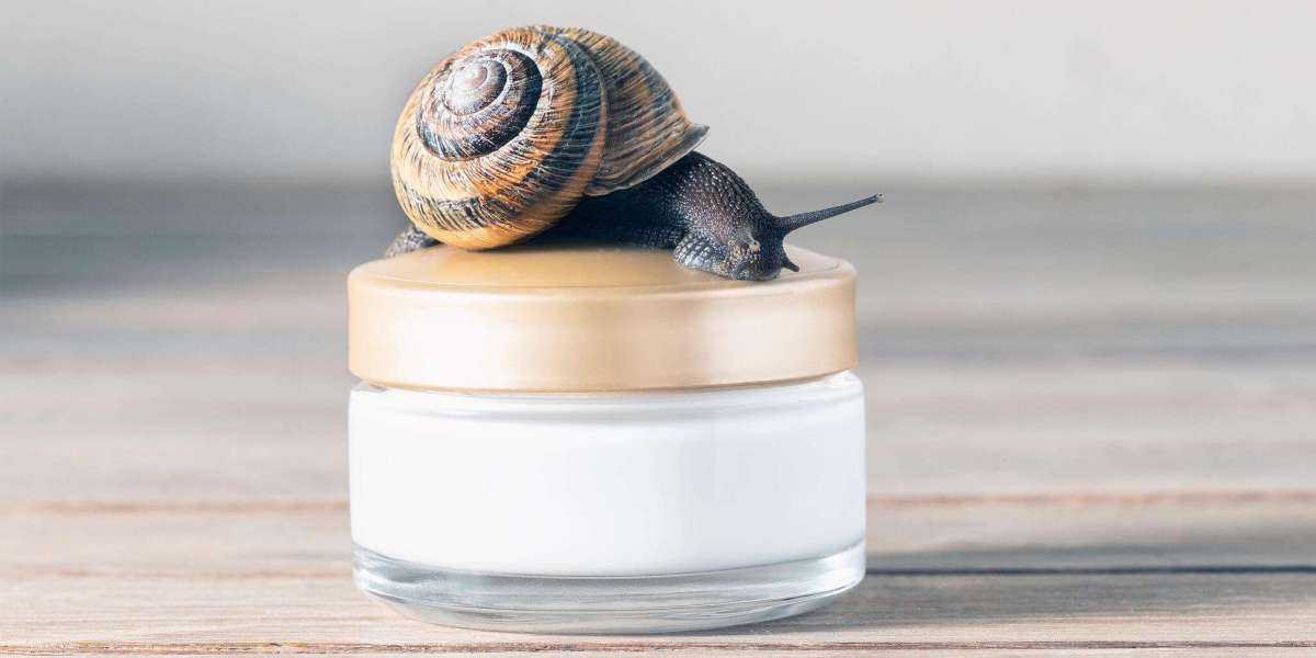 Snail Mucin Skincare Market Analysis and Future Opportunities Report 2024 – 2032