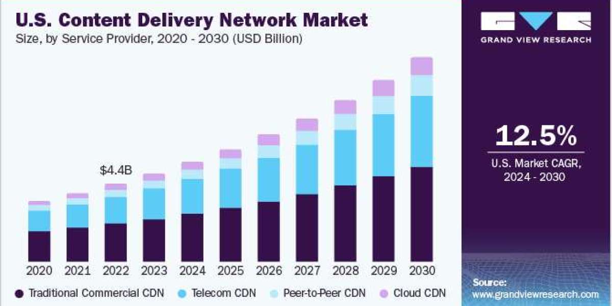 Content Delivery Network Market 2030: The Importance of Web Performance Optimization