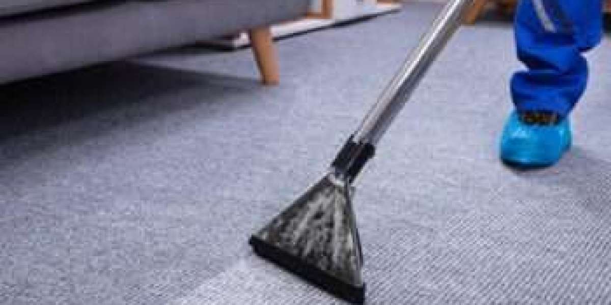 The Role of Carpet Cleaning in a Healthy Home Environment