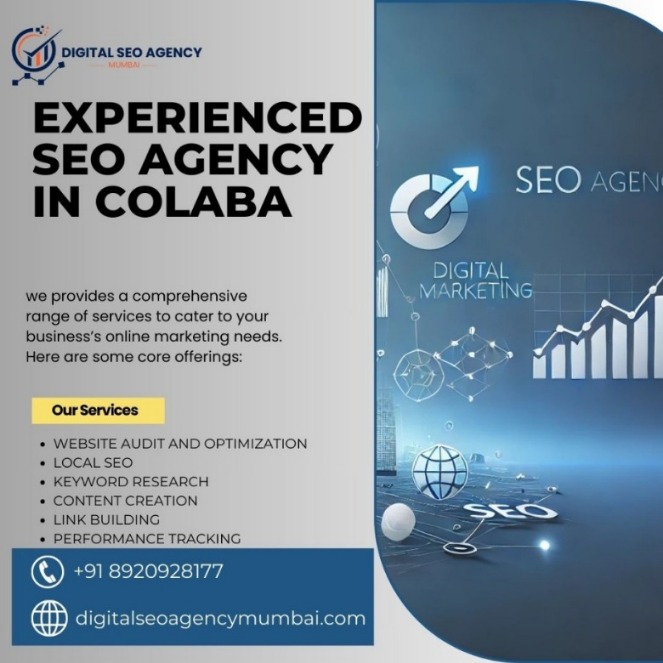 Unlock the Power of Digital Growth with an SEO Agency in Colaba | Vipon