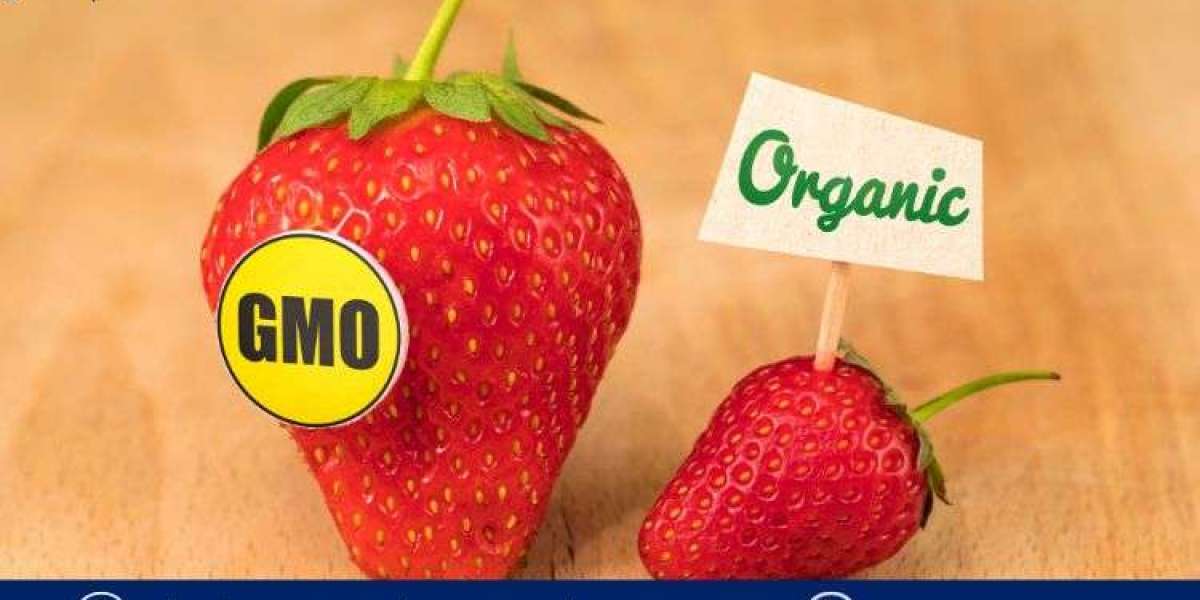 The Non-GMO Food Market Trends, Insights & Scope | 2025-2034