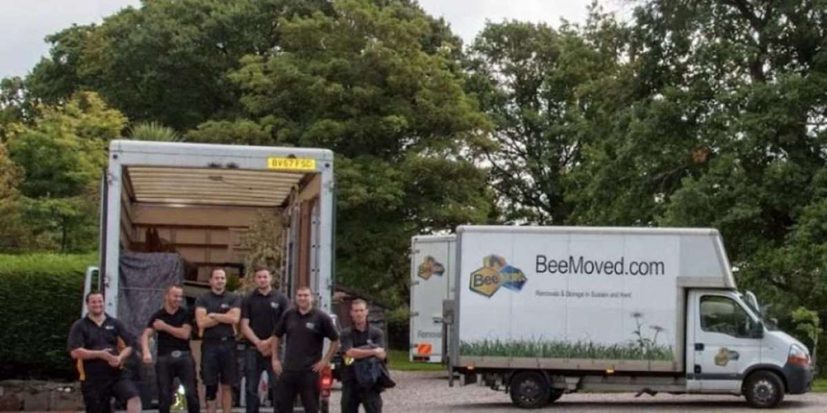 Comprehensive International Moving and Packing Services – Bee Moved