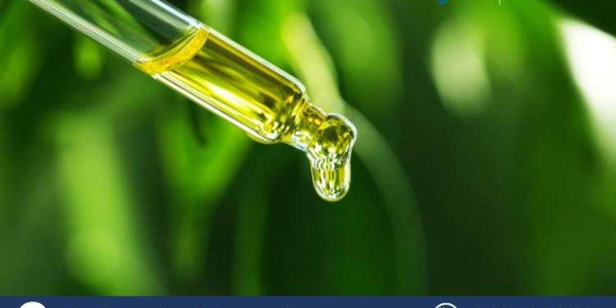 Kelp Extracts Market: Growth, Trends, and Insights (2025-2034)