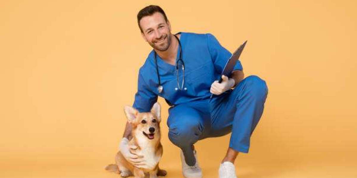 Essential Pet Care Services for Preventative and Emergency Care