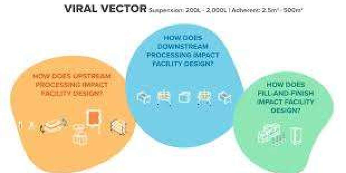 Production of Viral Vectors: A Comprehensive Overview