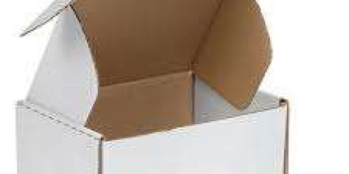 A Sustainable and Stylish Solution