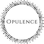 Opulence Chicago LLC Profile Picture