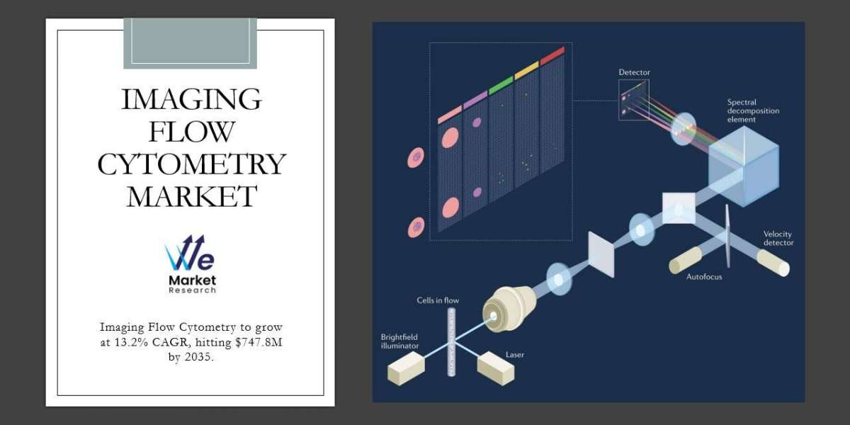 Imaging Flow Cytometry Market Analytical Overview and Growth Opportunities by 2035