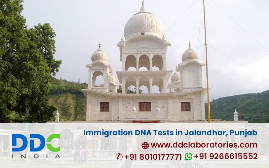 Immigration DNA Tests in Jalandhar Punjab - Affordable DNA Tests