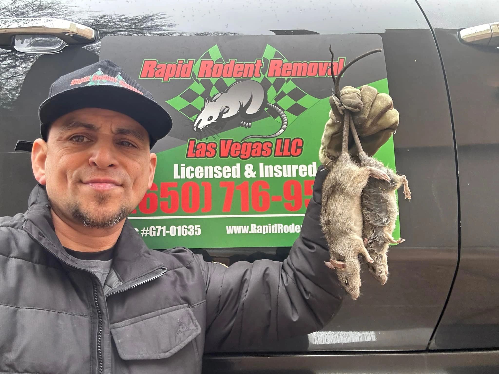 Rat Infestation Cleanup & Mice Control Services - Rapid Rodent Removal Las Vegas