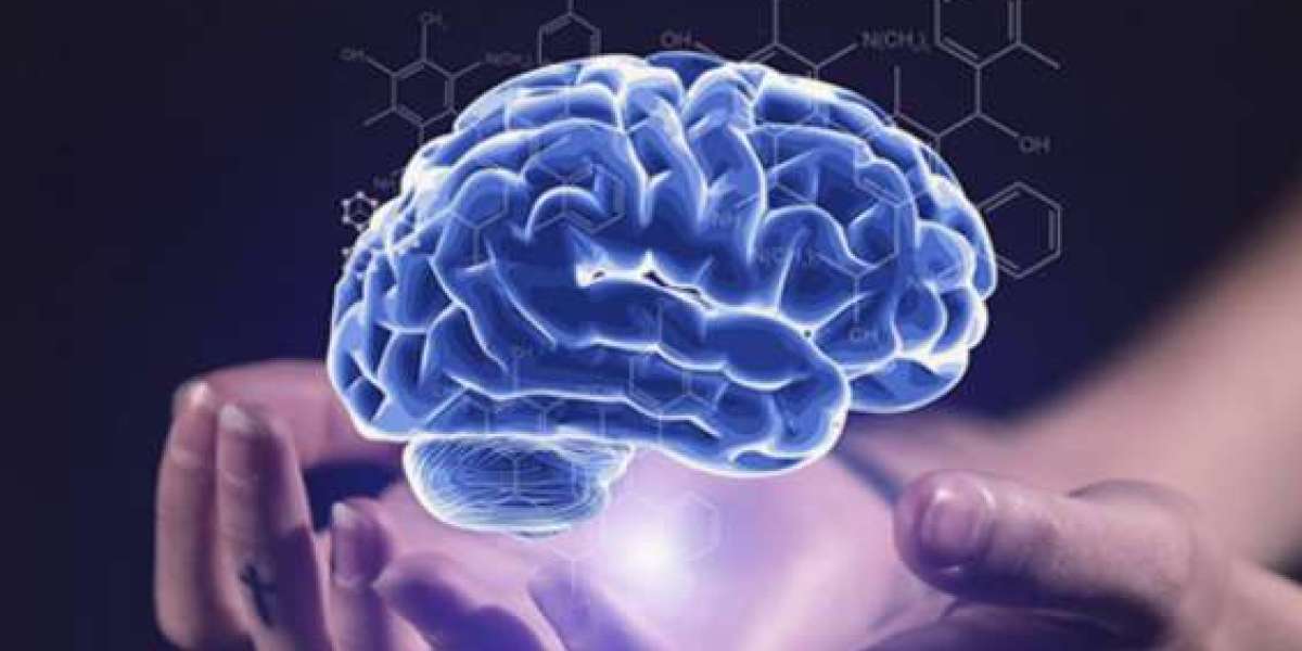 Neurological Biomarkers Market Report 2031 by Segments, and Strategic Insights 2031