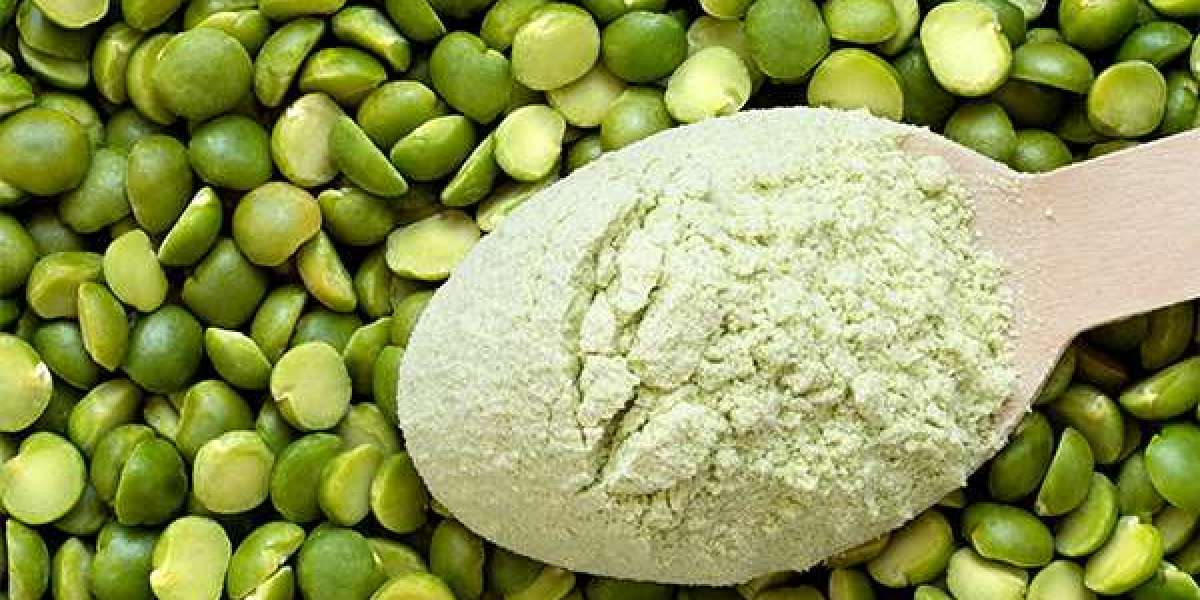 United States Pea Protein Market Size, Share, Growth and Forecast 2025-2033