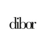 Dibor Homes profile picture