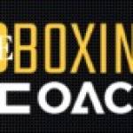 dboxing coach Profile Picture