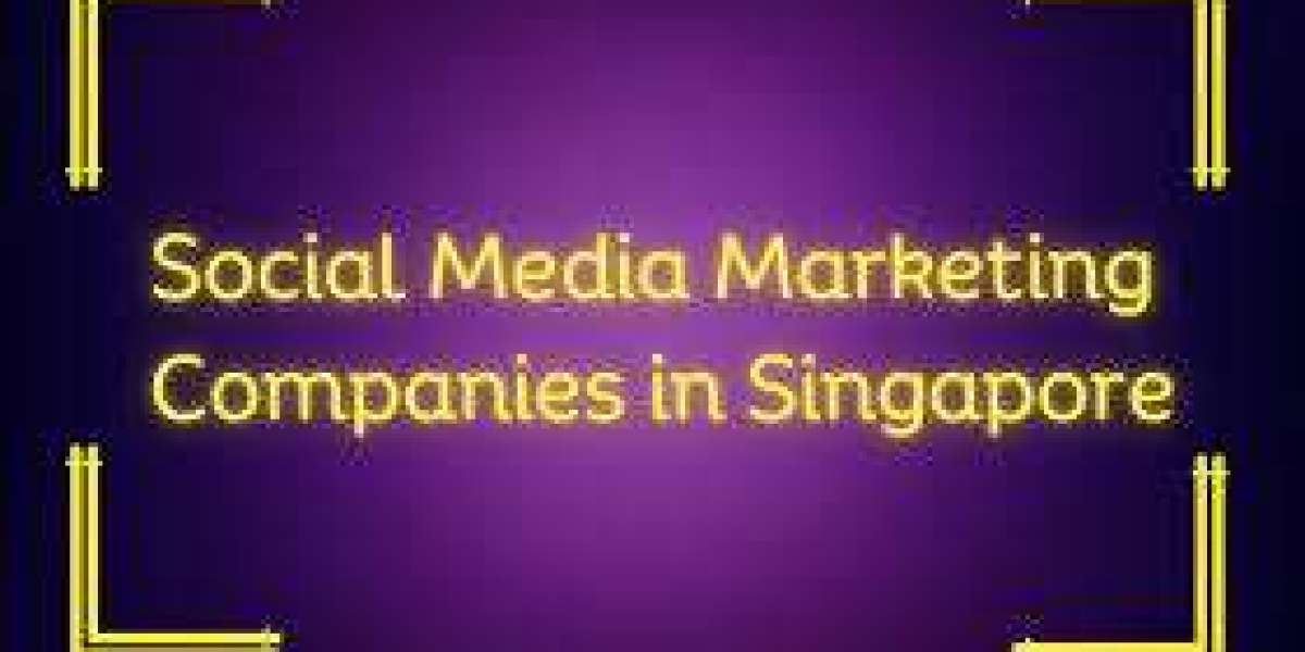 Trusted SEO Experts in Singapore for Proven Results