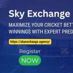 Sky Exchange profile picture