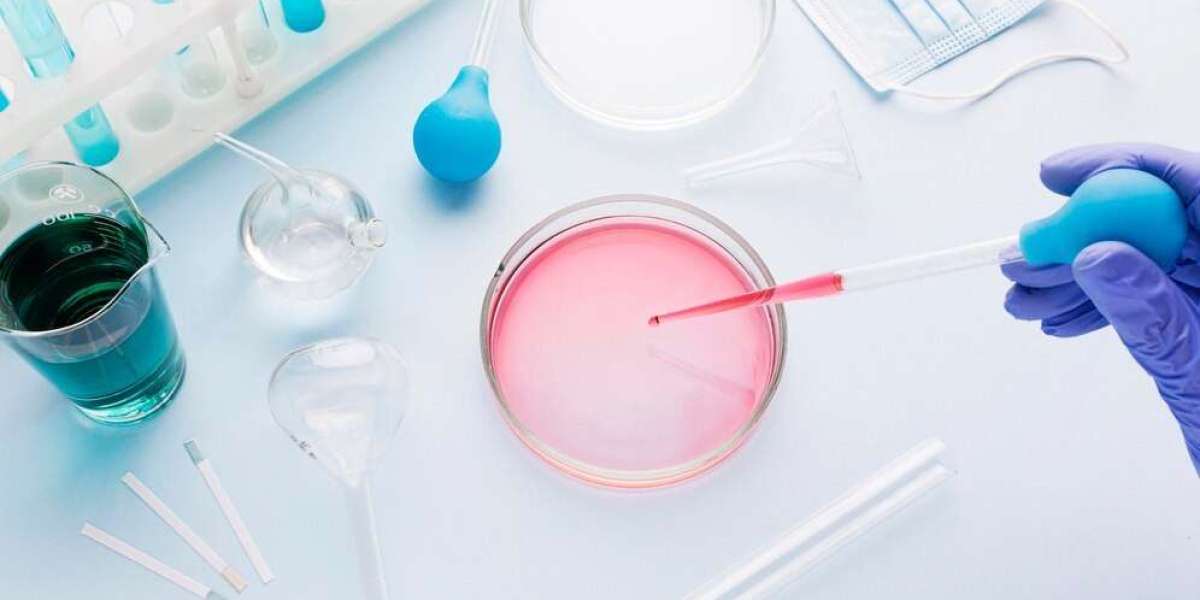 Vietnam In Vitro Diagnostics Market Analysis of Key Players and Forecasts to 2033