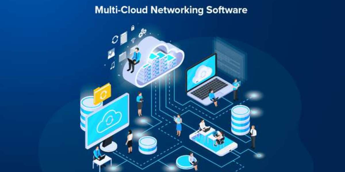 Unlocking Agility and Resilience with Multi-Cloud Networking Software