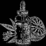 VISHAL SHARMA Profile Picture
